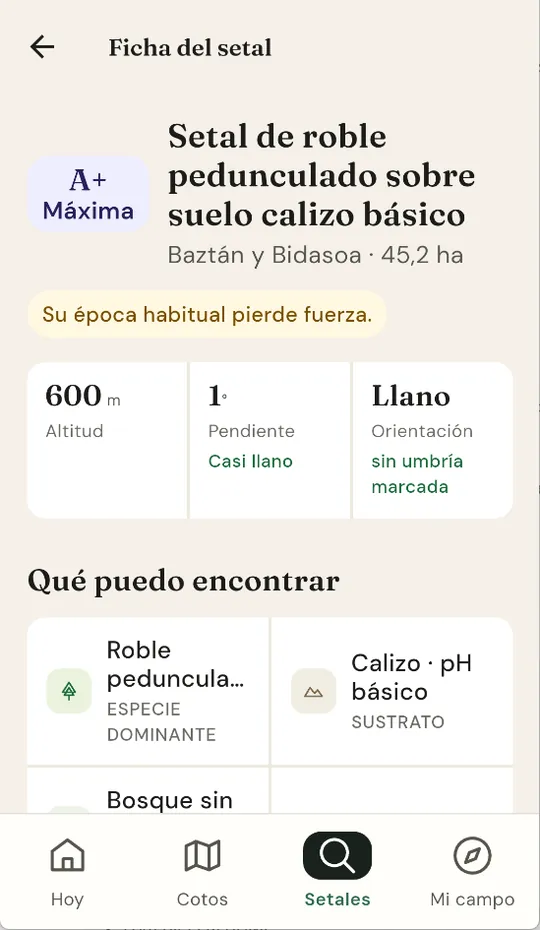 Ficha de un setal de grado A+ en Baztán y Bidasoa: robledal sobre suelo calizo, 45,2 hectáreas, 600 metros y llano.