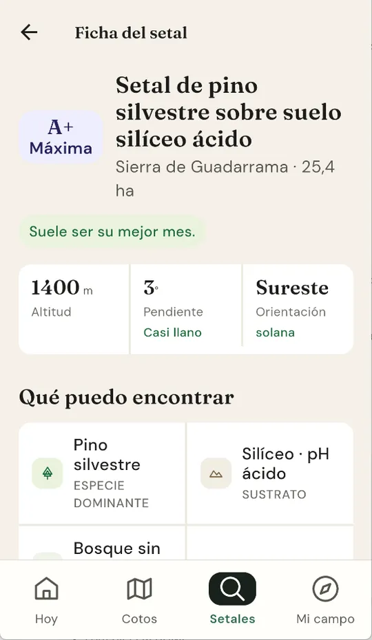 Ficha de un setal de grado A+ en la Sierra de Guadarrama: pinar sobre suelo silíceo ácido, 25,4 hectáreas, 1.400 metros, casi llano y orientado al sureste.