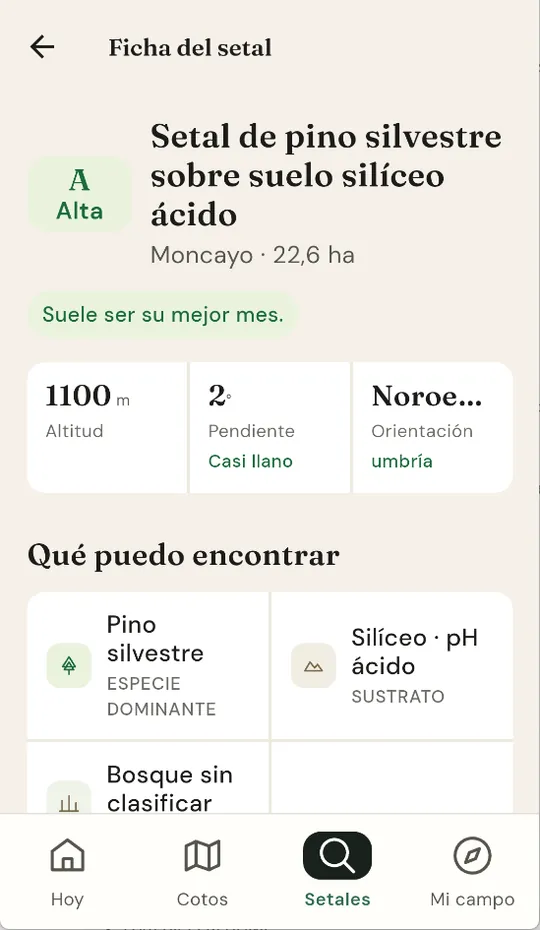 Ficha de un setal de grado A en el Moncayo: pinar sobre suelo silíceo ácido, 22,6 hectáreas, 1.100 metros, casi llano y en umbría.