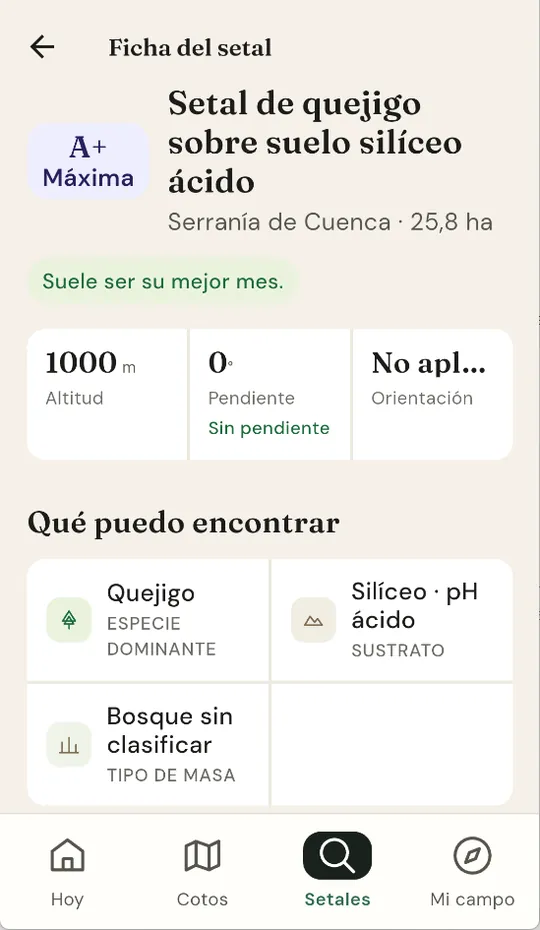 Ficha de un setal de grado A+ en la Serranía de Cuenca: quejigo sobre suelo silíceo ácido, 25,8 hectáreas, 1.000 metros de altitud y sin pendiente.