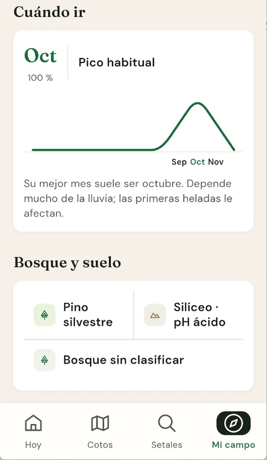 Apartado Cuándo ir de un setal, con octubre como pico habitual en una curva de septiembre a noviembre, y debajo el bosque y el suelo: pino silvestre, silíceo y pH ácido.