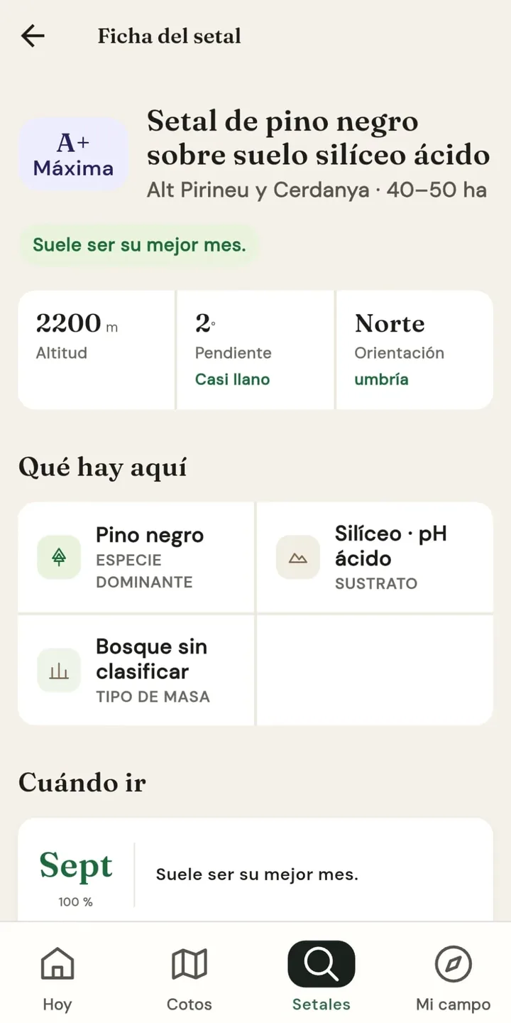 Ejemplo de la ficha de un setal A+ en Mykko con información de bosque y terreno.