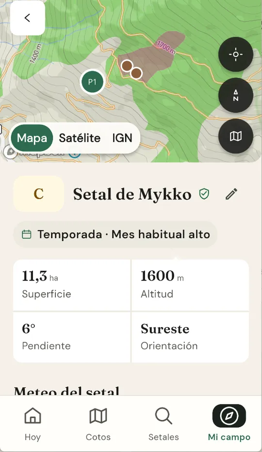 Setal comprado en la app: su mapa sobre el topográfico, con los botones de Mapa, Satélite e IGN, y debajo la superficie, la altitud, la pendiente y la orientación.